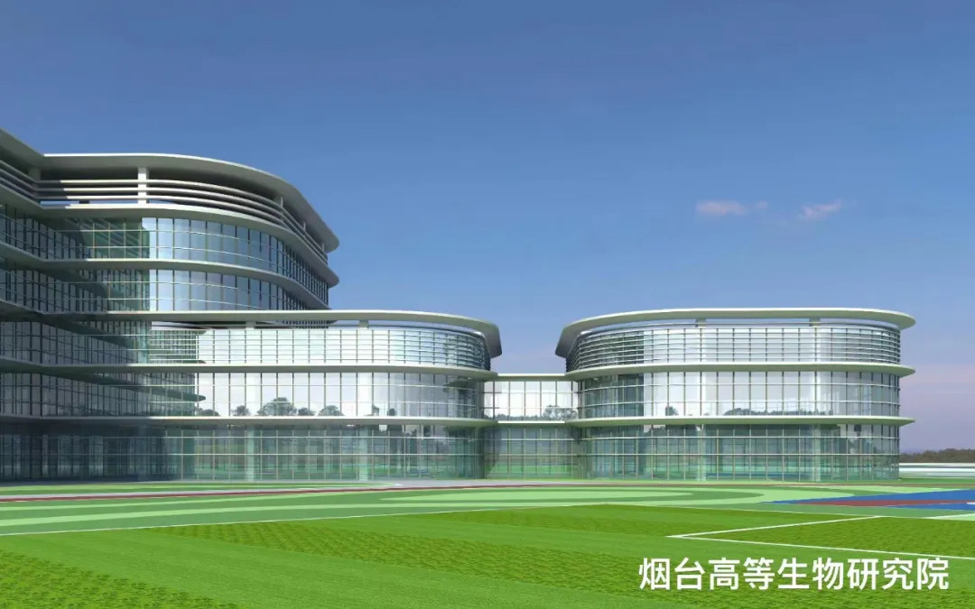 大跨度 高精度 超節(jié)能|鳳鋁助力煙臺(tái)城市更新,展登州新貌